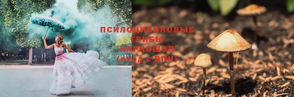 spice Бородино