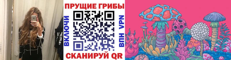 Галлюциногенные грибы Psilocybine cubensis  Сосногорск 
